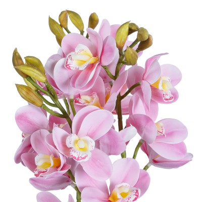 GloboStar® Artificial Garden PALE PINK CHERRY CYMBIDIUM 21403 Διακοσμητικό Φυτό Ροζ Κυμβίδιο Υ60cm GloboStar® Artificial Garden PALE PINK CHERRY CYMBIDIUM 21403 Διακοσμητικό Φυτό Ροζ Κυμβίδιο Υ60cm