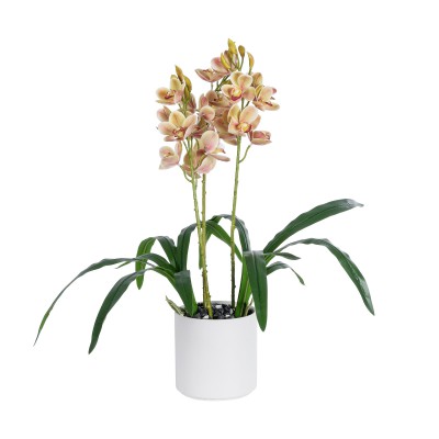 GloboStar® Artificial Garden CHAMPAGNE CHERRY CYMBIDIUM 21404 Διακοσμητικό Φυτό Σαμπανιζέ Κυμβίδιο Υ60cm GloboStar® Artificial Garden CHAMPAGNE CHERRY CYMBIDIUM 21404 Διακοσμητικό Φυτό Σαμπανιζέ Κυμβίδιο Υ60cm