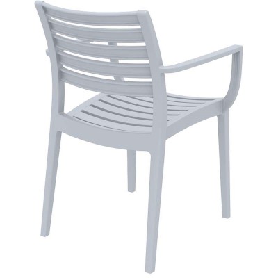 ARTEMIS SILVER GREY ΠΟΛΥΘΡΟΝΑ ΠΟΛ/ΝΙΟΥ ARTEMIS SILVER GREY ΠΟΛΥΘΡΟΝΑ ΠΟΛ/ΝΙΟΥ