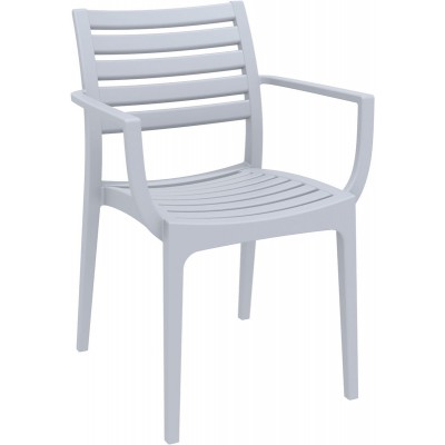 ARTEMIS SILVER GREY ΠΟΛΥΘΡΟΝΑ ΠΟΛ/ΝΙΟΥ ARTEMIS SILVER GREY ΠΟΛΥΘΡΟΝΑ ΠΟΛ/ΝΙΟΥ